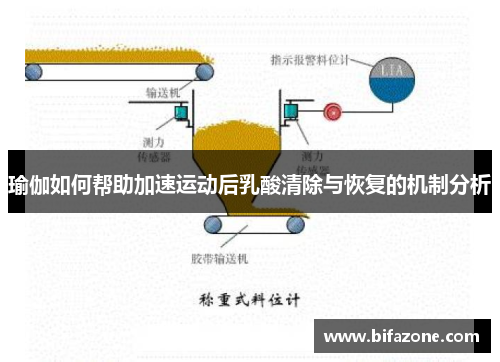 瑜伽如何帮助加速运动后乳酸清除与恢复的机制分析